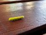 IMG_1350.JPEG