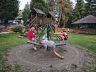 IMG_20250621_204955.jpg